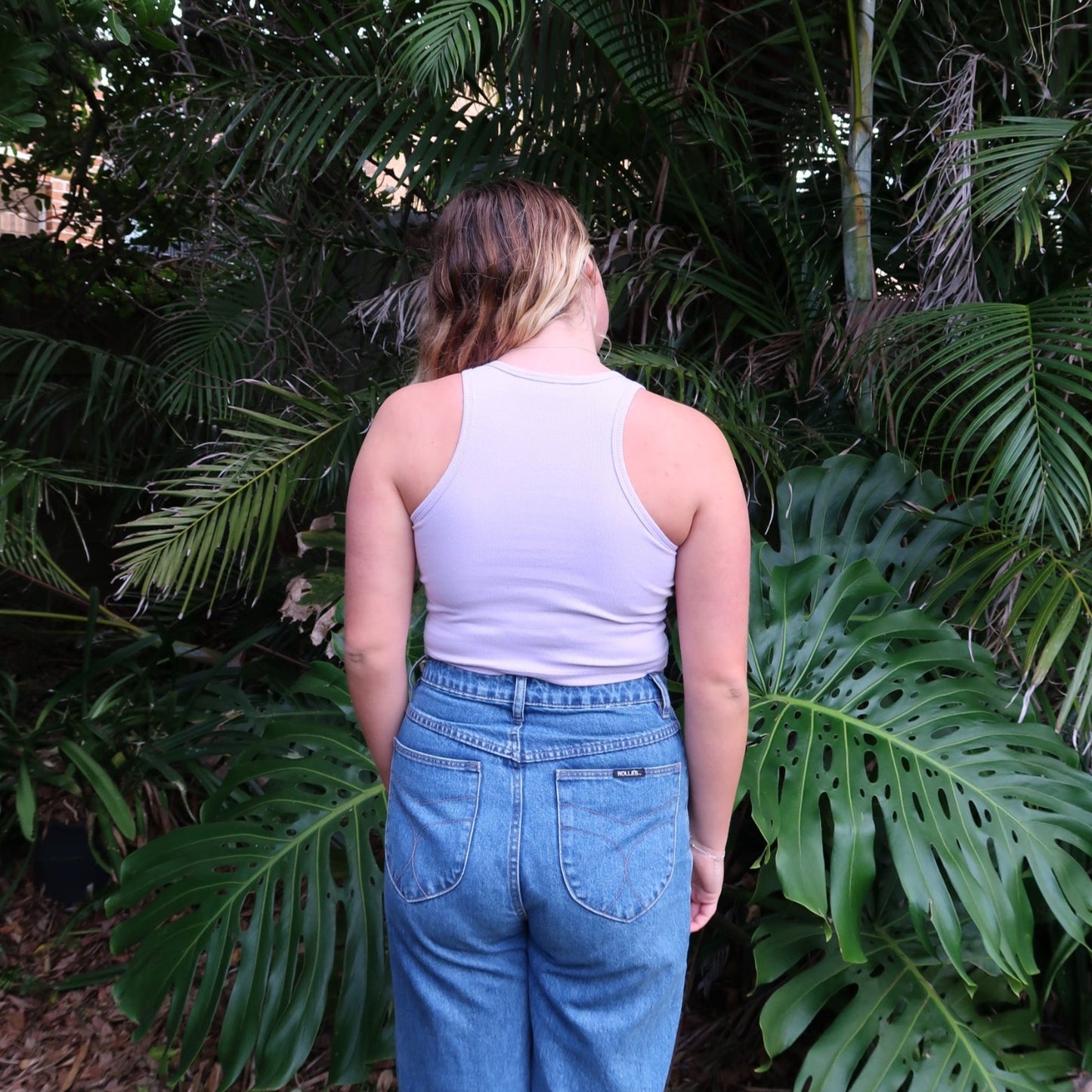 Sundancer crop