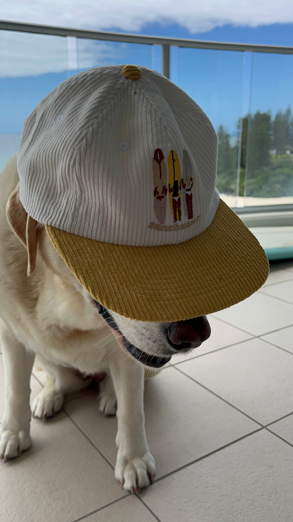 Sunny Days Corduroy Cap
