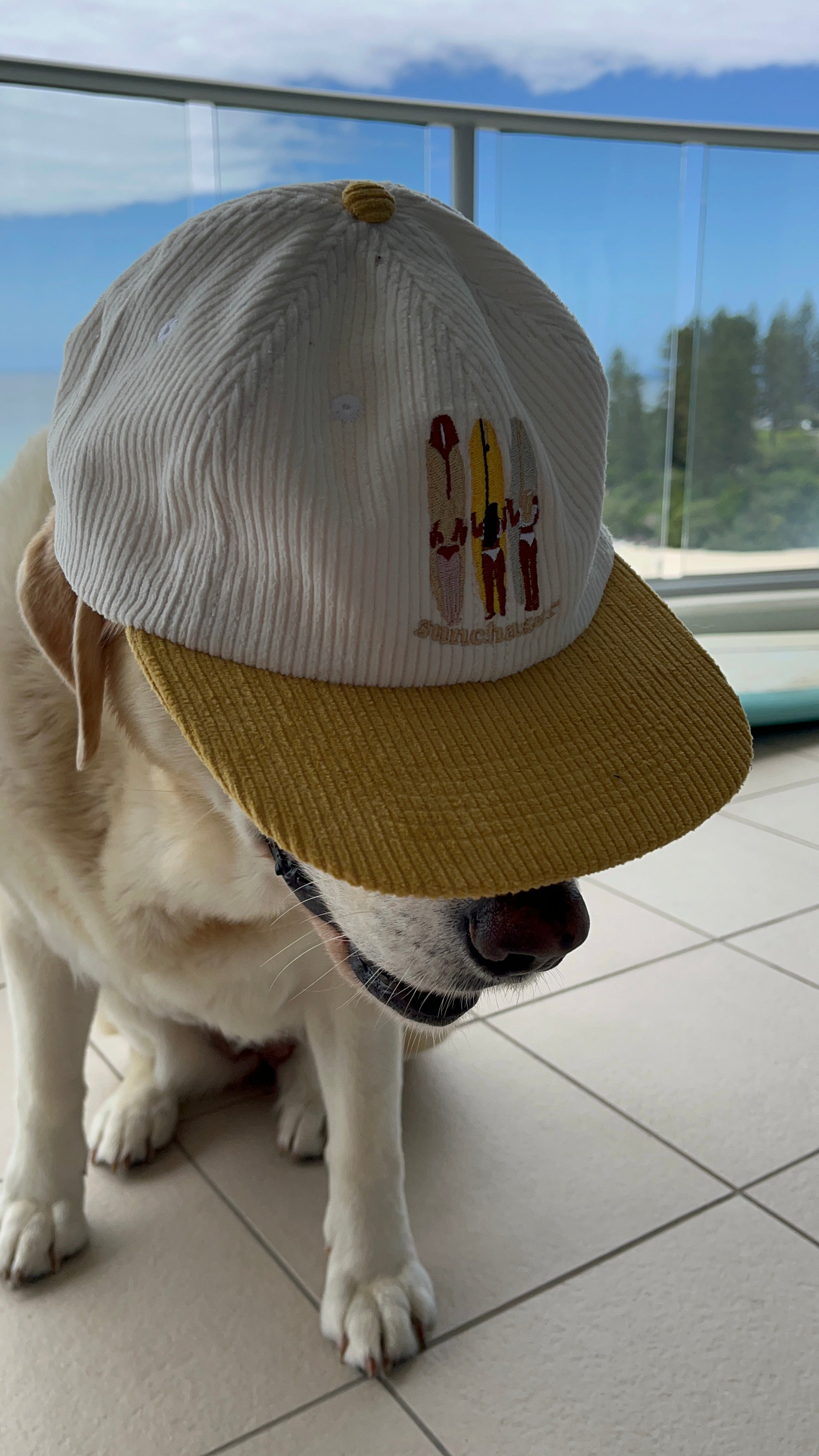 Sunny Days Corduroy Cap