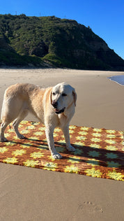 Day Dreamer Sarong in Chocolate